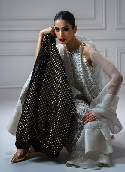 3 Piece Stitched Chiffon Embroidery Dress - Ready To Wear